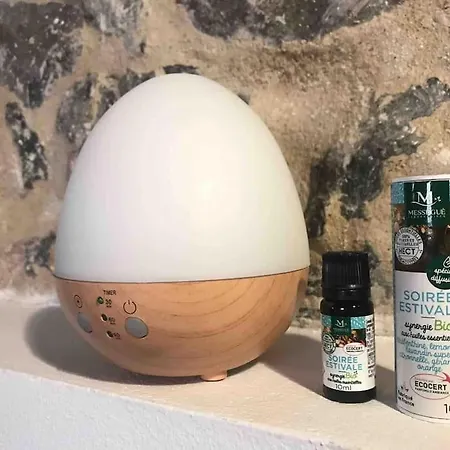 Romantico Casco Antiguo アパート