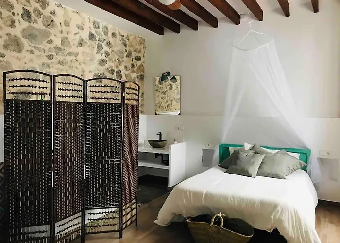 Romantico Casco Antiguo 公寓 *